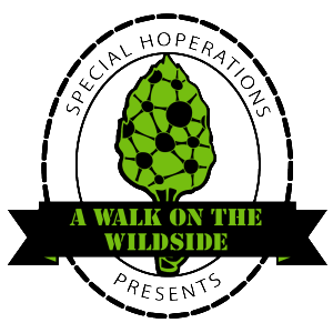 wotw_logo_green_web-01-2